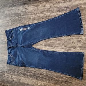 American Eagle Hi-Rise Artist Flare